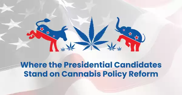 Both Major-Party Presidential Candidates Signal Support for Cannabis Policy Reform: Where Trump and Harris Stand on Legalization